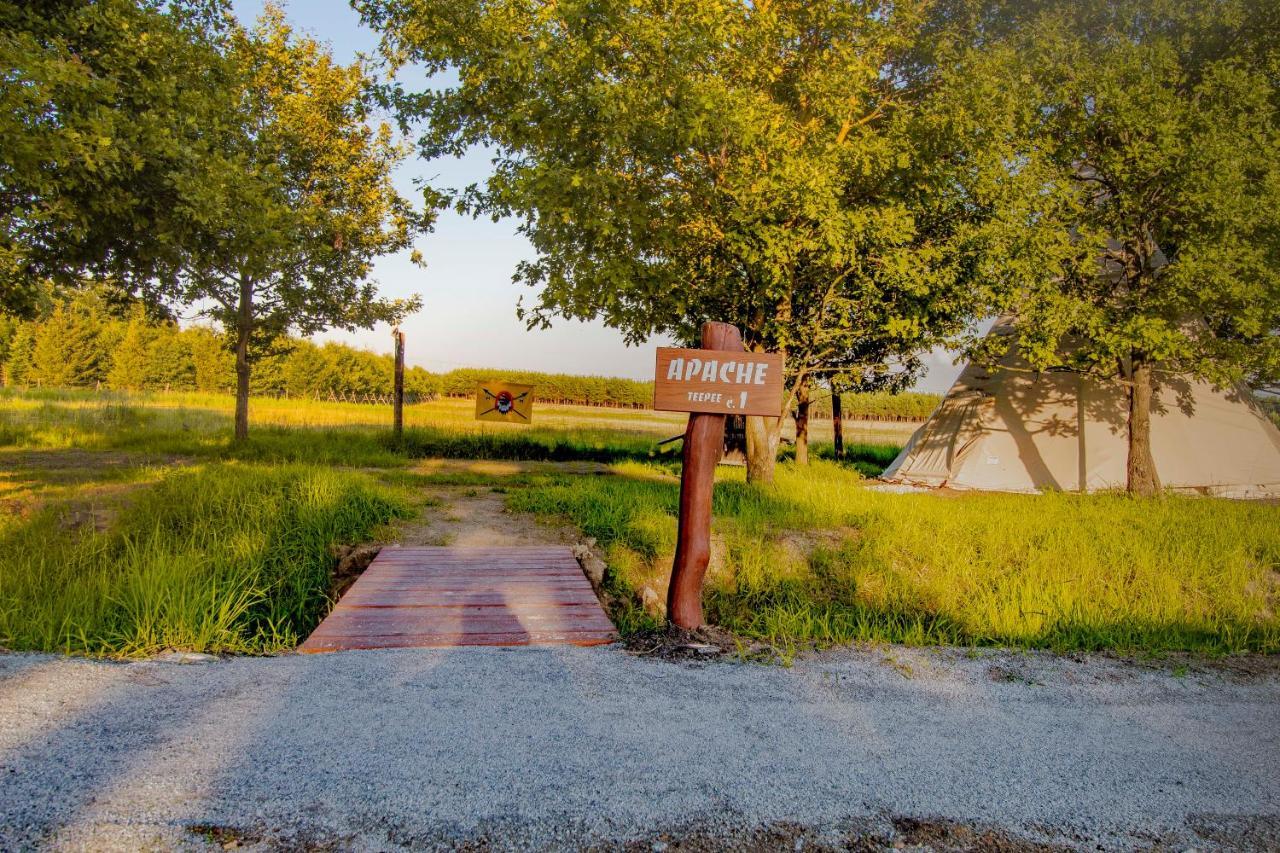 Residence Safari Resort - Teepee Village Borovany  Exterior photo